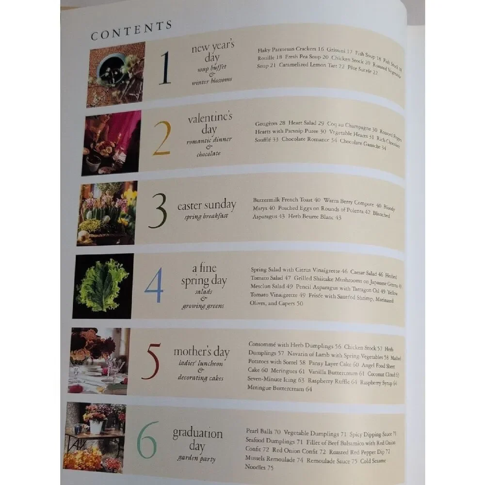 Martha Stewart Special Occasions Hardcover Book Menus Recipes Ideas